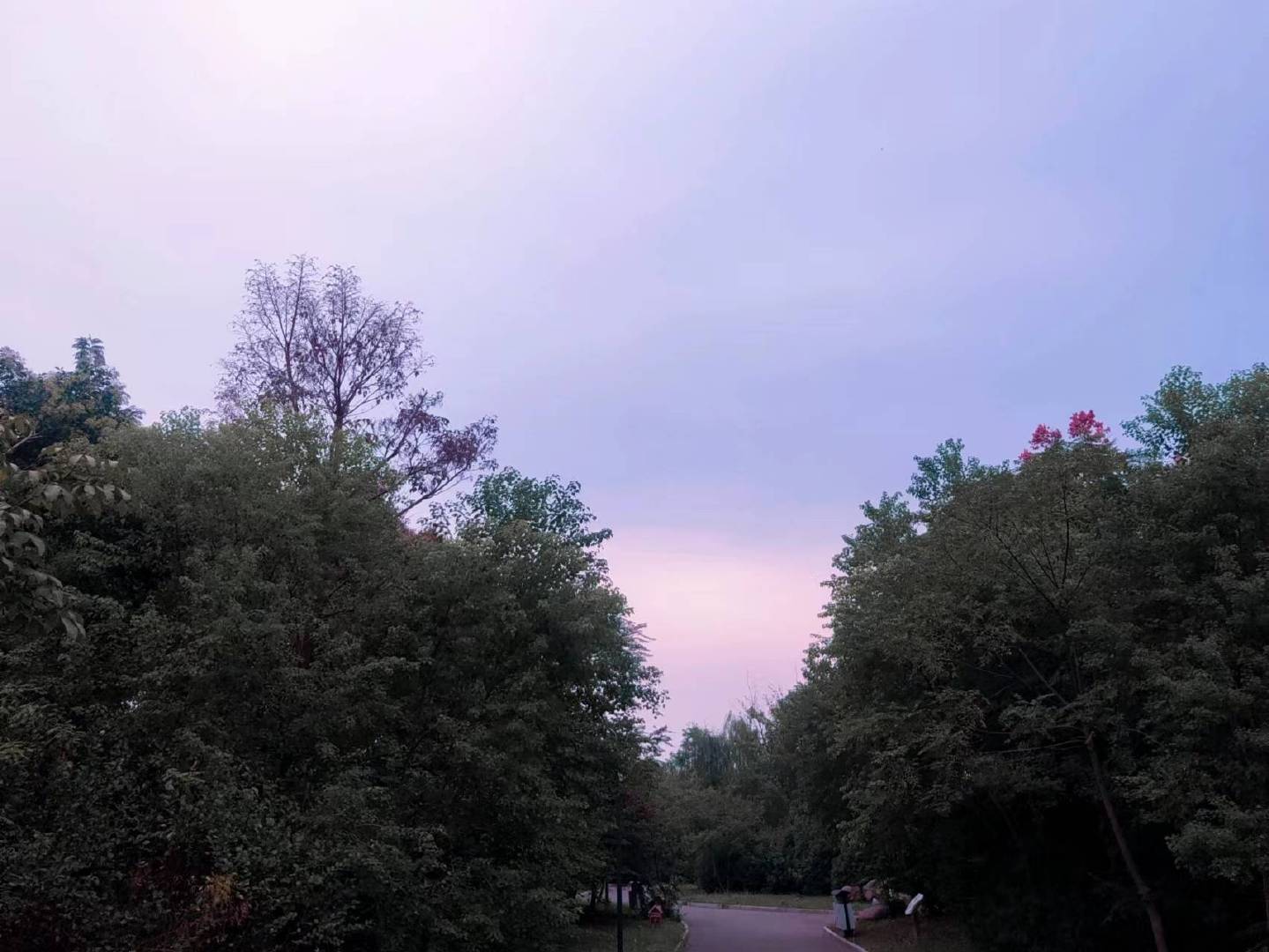 灵魂若追赶不上匆忙奔走的躯体，人便会变得浮躁空洞，行走途中偶尔停顿，等候内心跟上