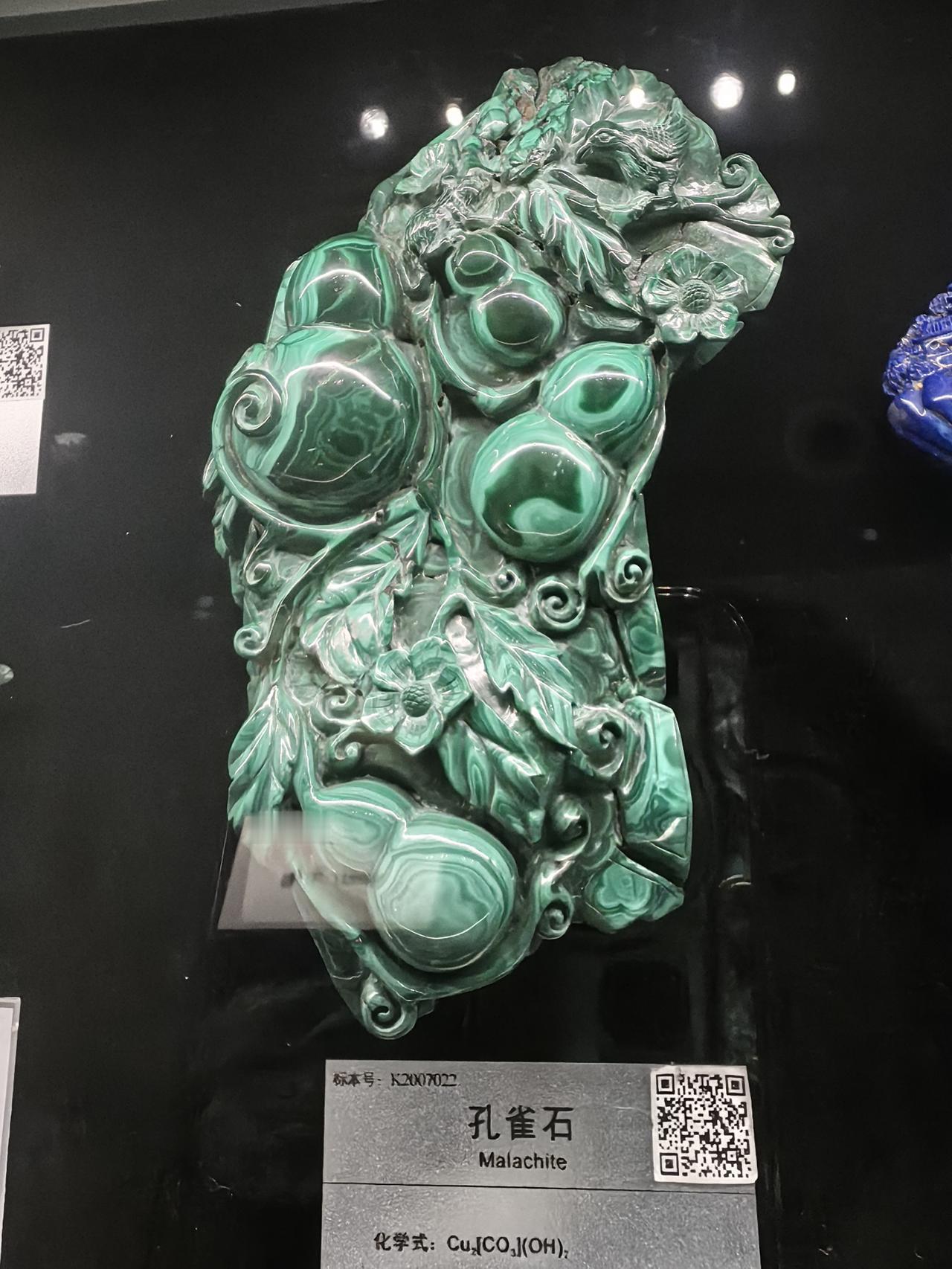 地质博物馆的亿年之约
 — 姥姥手记 2026.4.19
昨日全家同游地质大学博