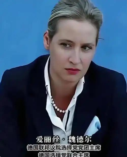 德国政治风云变幻，魏德尔领衔的德国选择党在民调中一骑绝尘。
魏德尔个人在党内连任