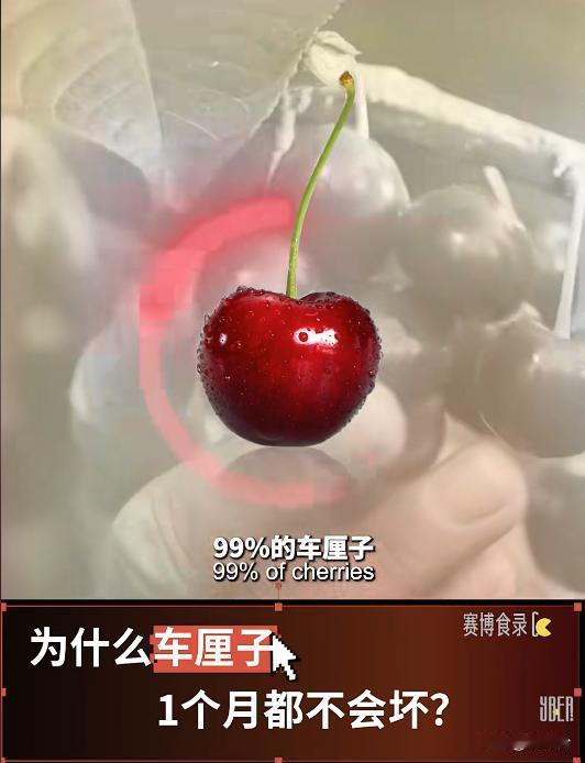 🍒揭秘车厘子“冬眠”真相！漂洋20天不烂，20元自由全靠它💥
🍒20元实现