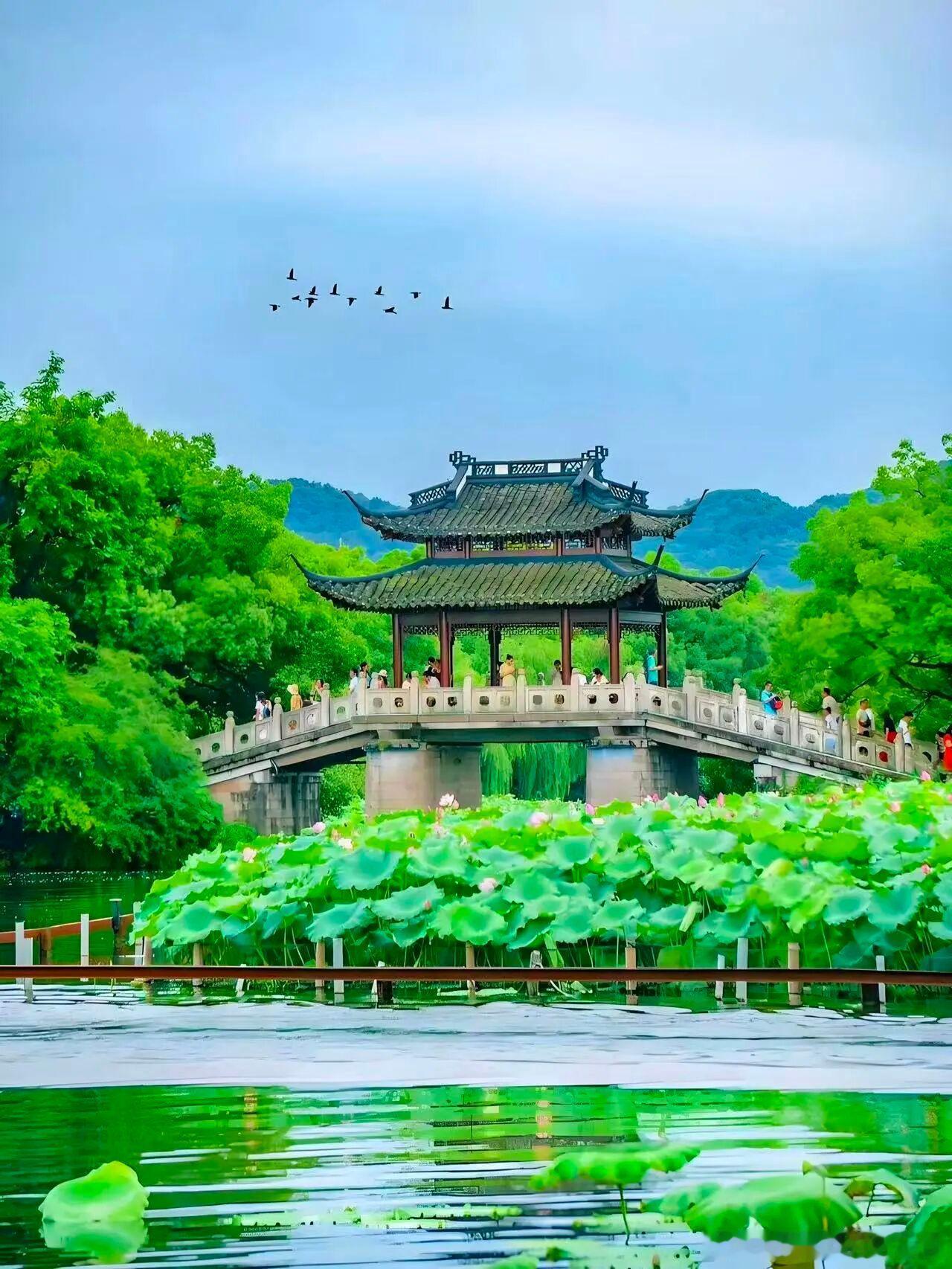 惜时奋进，努力前行。早安，每一个你！早安早安心语早安