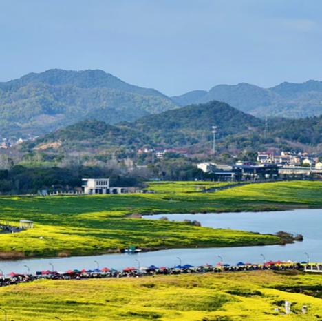 如今不少年轻人都看开了，清明不愿回乡扫墓，不是没空、也不是不孝，只是觉得跟没见过