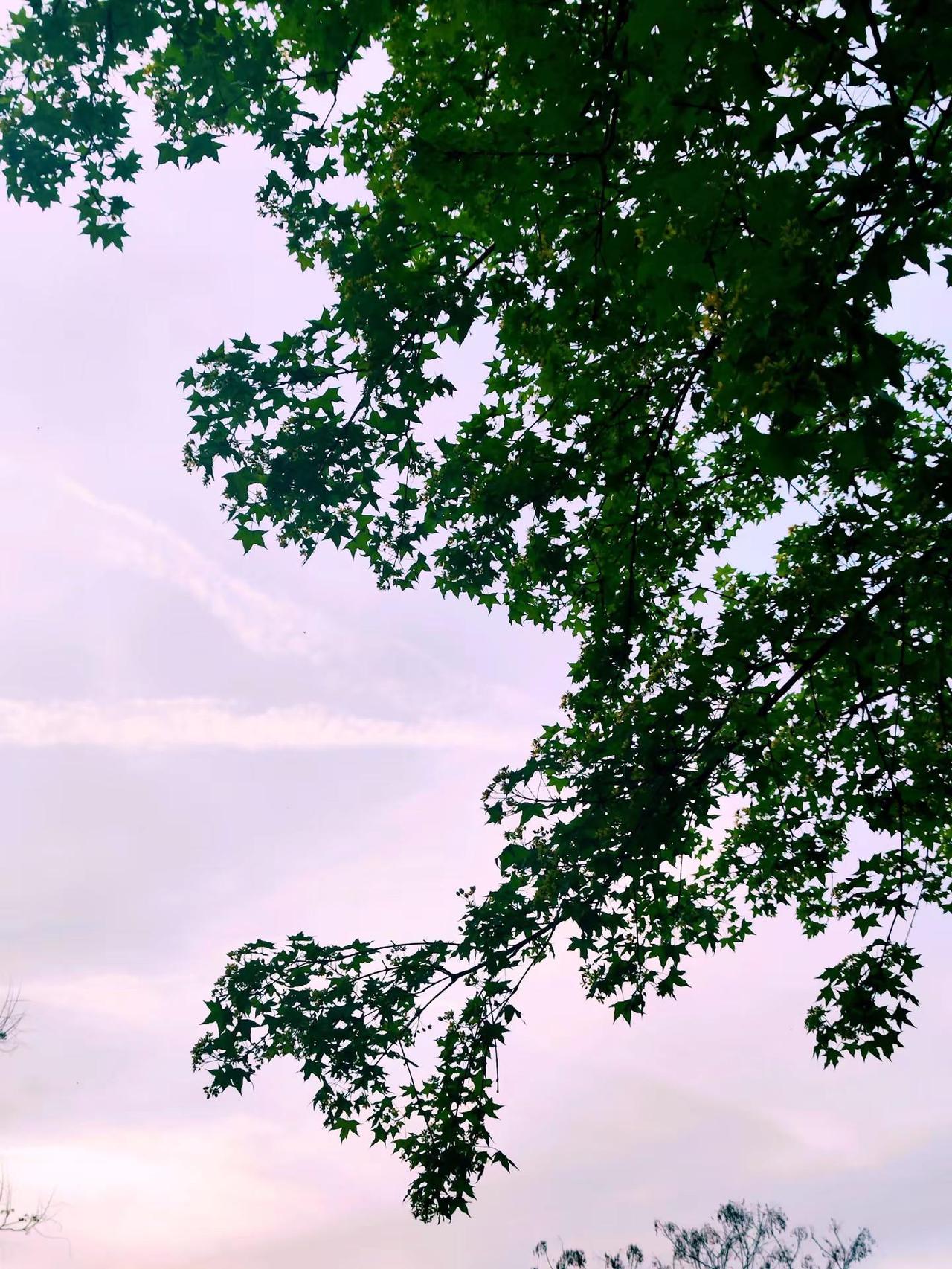 别人欠我的钱，我脸皮薄，不好意思要，咋办。欠我几百块钱都快一年了钱不多但是不好意