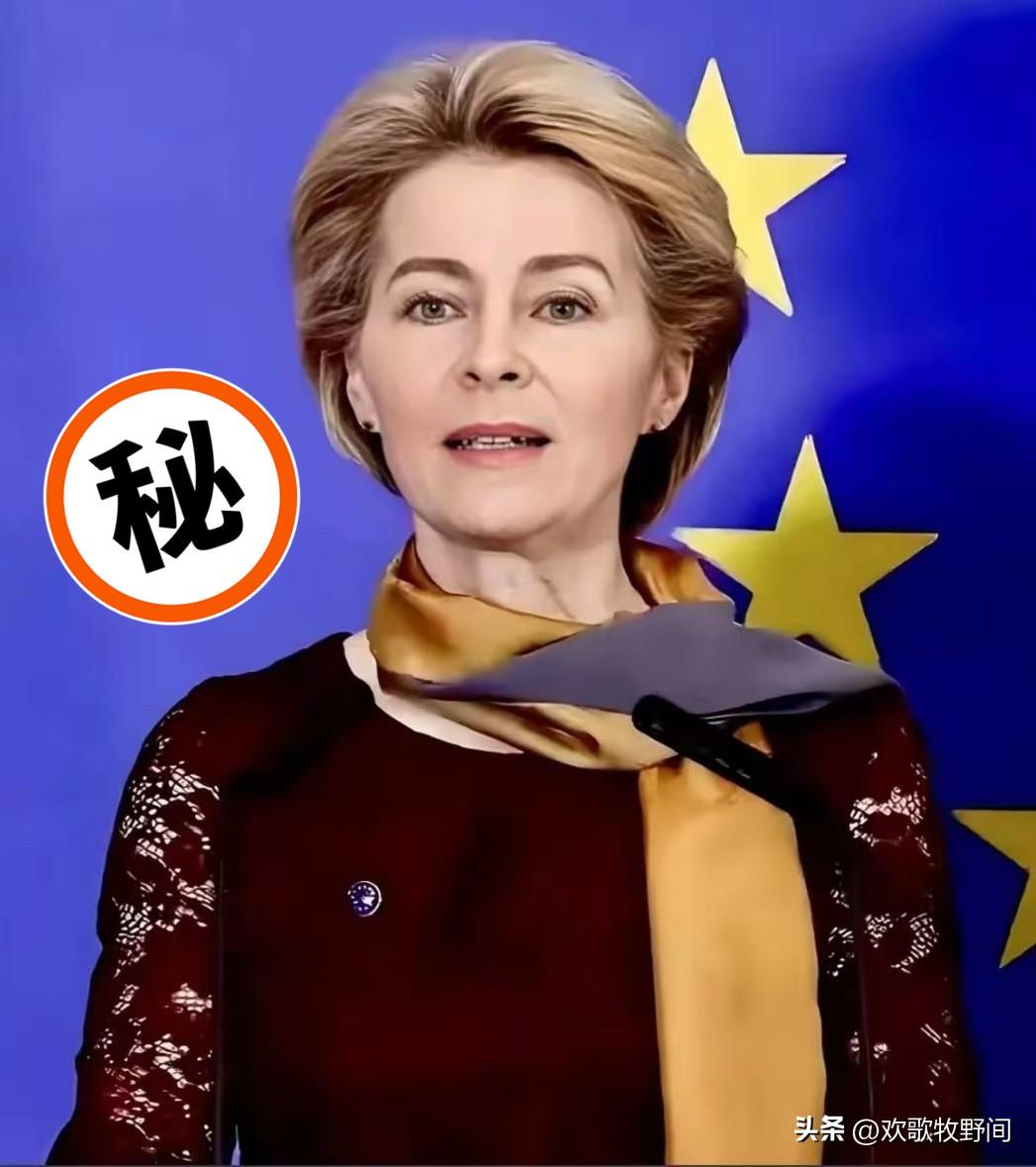 欧盟主席冯德莱恩宣布了

9月30日，欧盟委员会主席冯德莱恩宣布，要给乌克兰20
