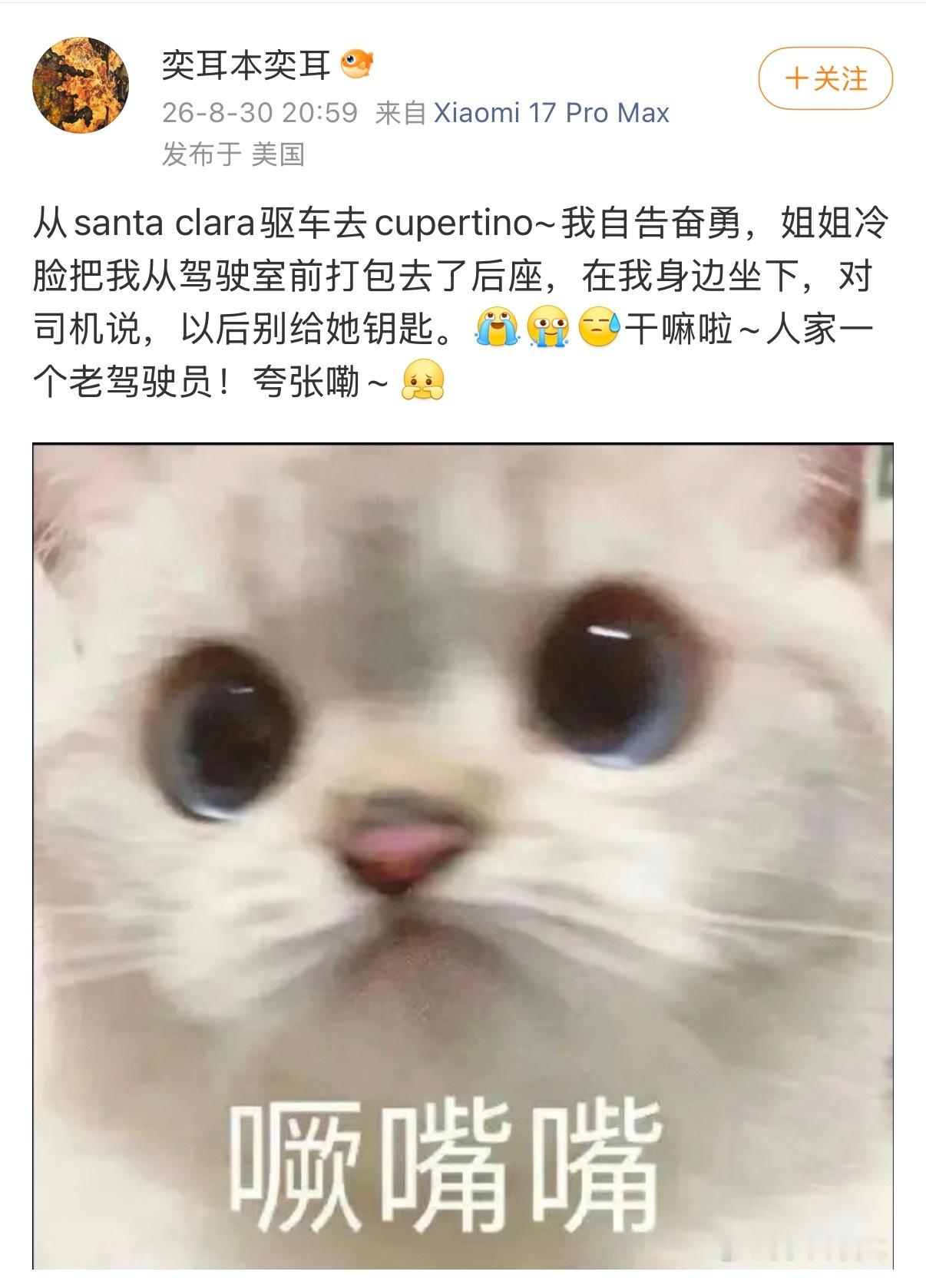 去哪儿我都跟 ​​​