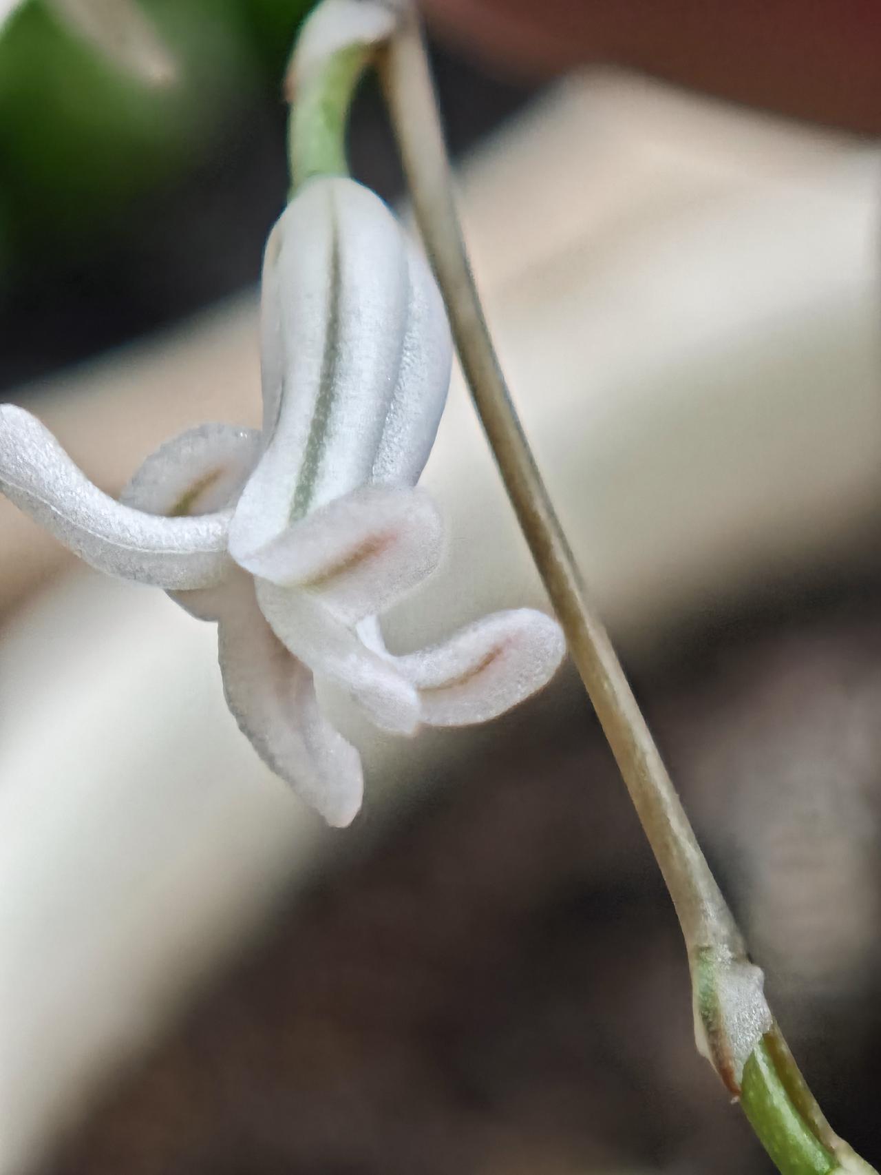 修行
文/夏文辉

小时候，您把世界递到我手边，
一遍遍，不厌其烦。
如今角色轮