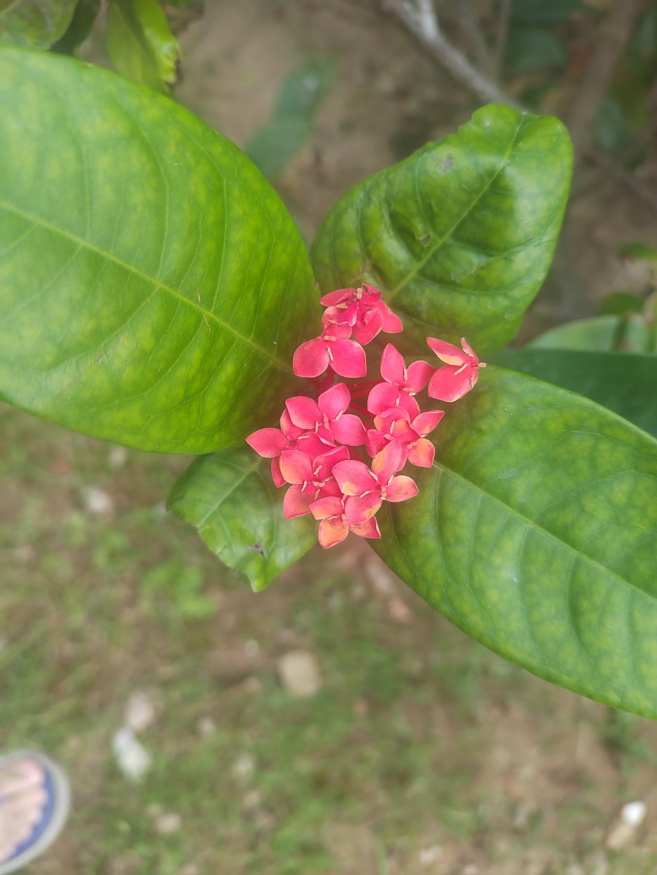 那些你曾拼命想逃离的，最终都成了你的养分。那些你曾痛恨的，最终都让你变得温柔且坚