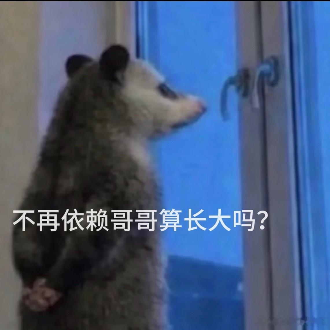 啊对对  云包场扯头花拿顶刘丝对标  热度拿顶刘的《折腰》当标杆。有事翻阅顶刘说
