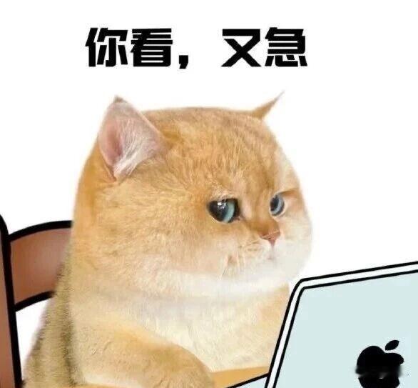 当代成年人的崩溃，忙到又饿又累，却连口饭都吃不下。

 
谁懂啊家人们！今天算是