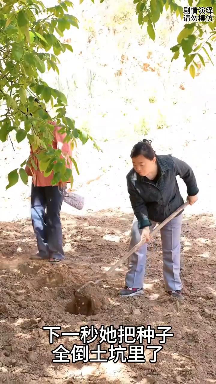 母亲刨坑让女儿撒大豆种子，谁知女儿的做法太有才了。
母女两个在种大豆，只见母亲用