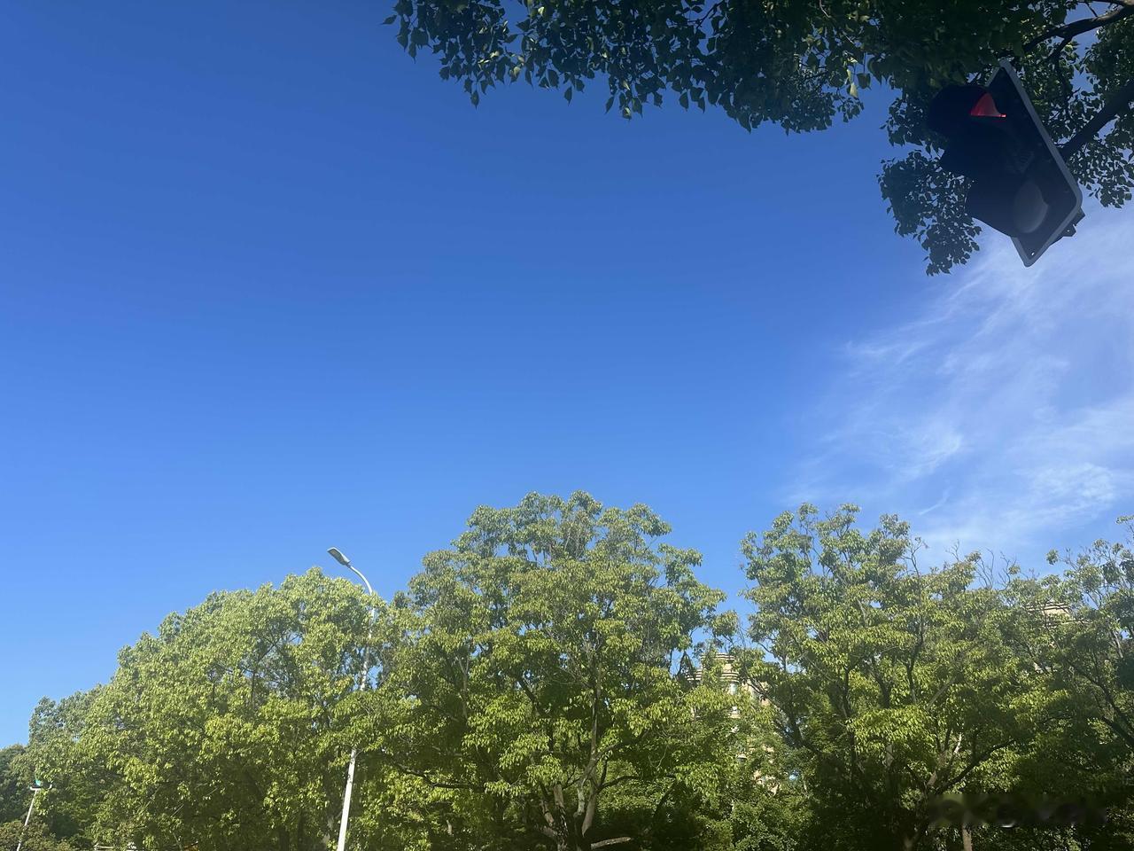 有好多外地女生是看不上家里只有老破小的上海男生，不过我发现，老破小上海男生他们择