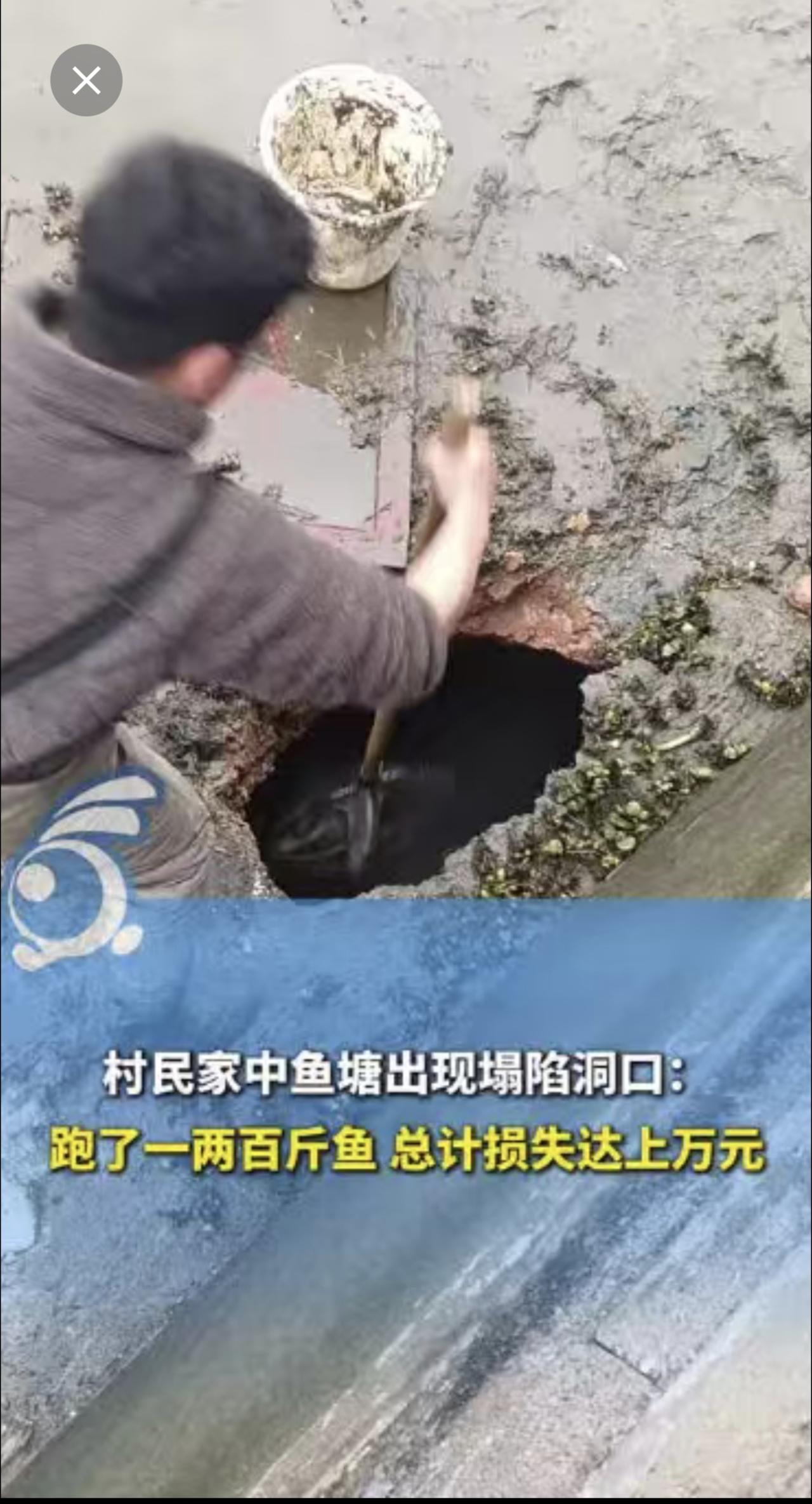 湖南邵阳一村民家中鱼塘出现塌陷洞口：跑了一两百斤鱼 总计损失达上万元。