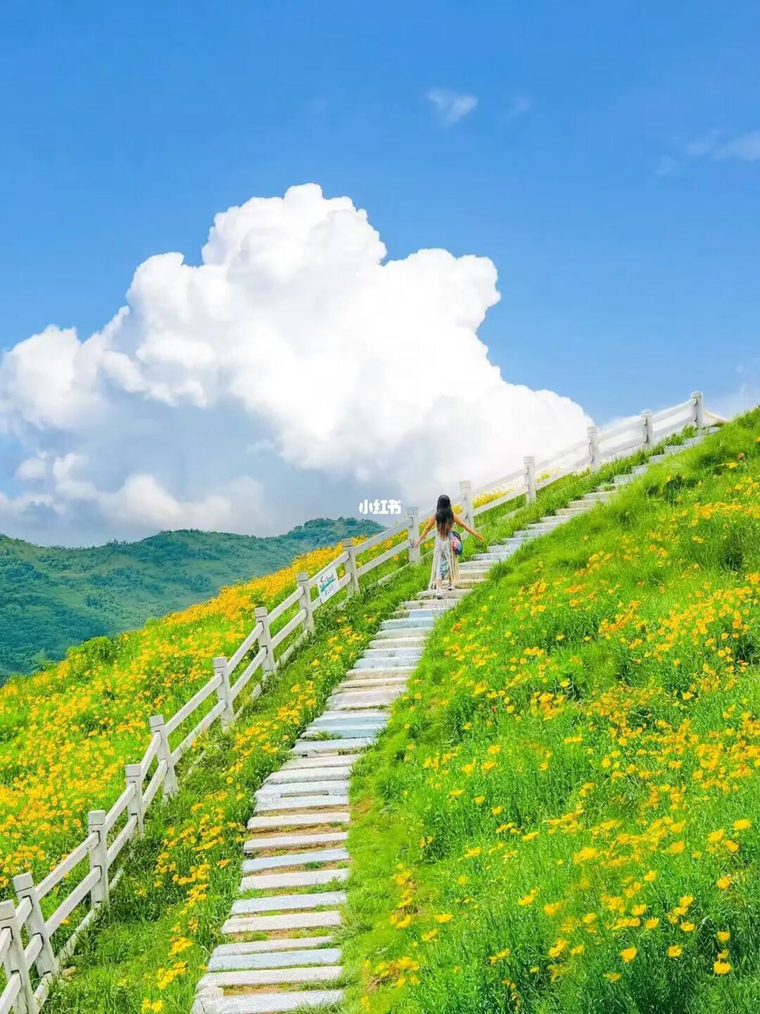 发个朋友圈问疯啦！不在新西兰 在安吉！！