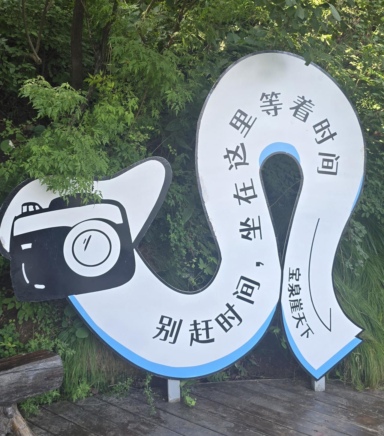 民间说：人活一口气，树活一张皮。人活得是心气神、树活需要皮输送营养和保护。
人活
