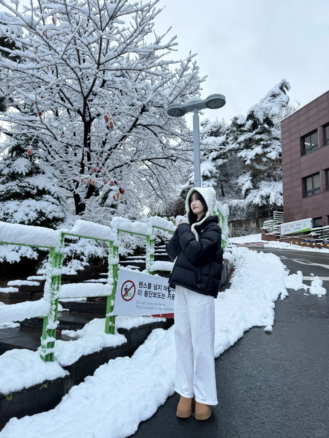 下雪啦❄️