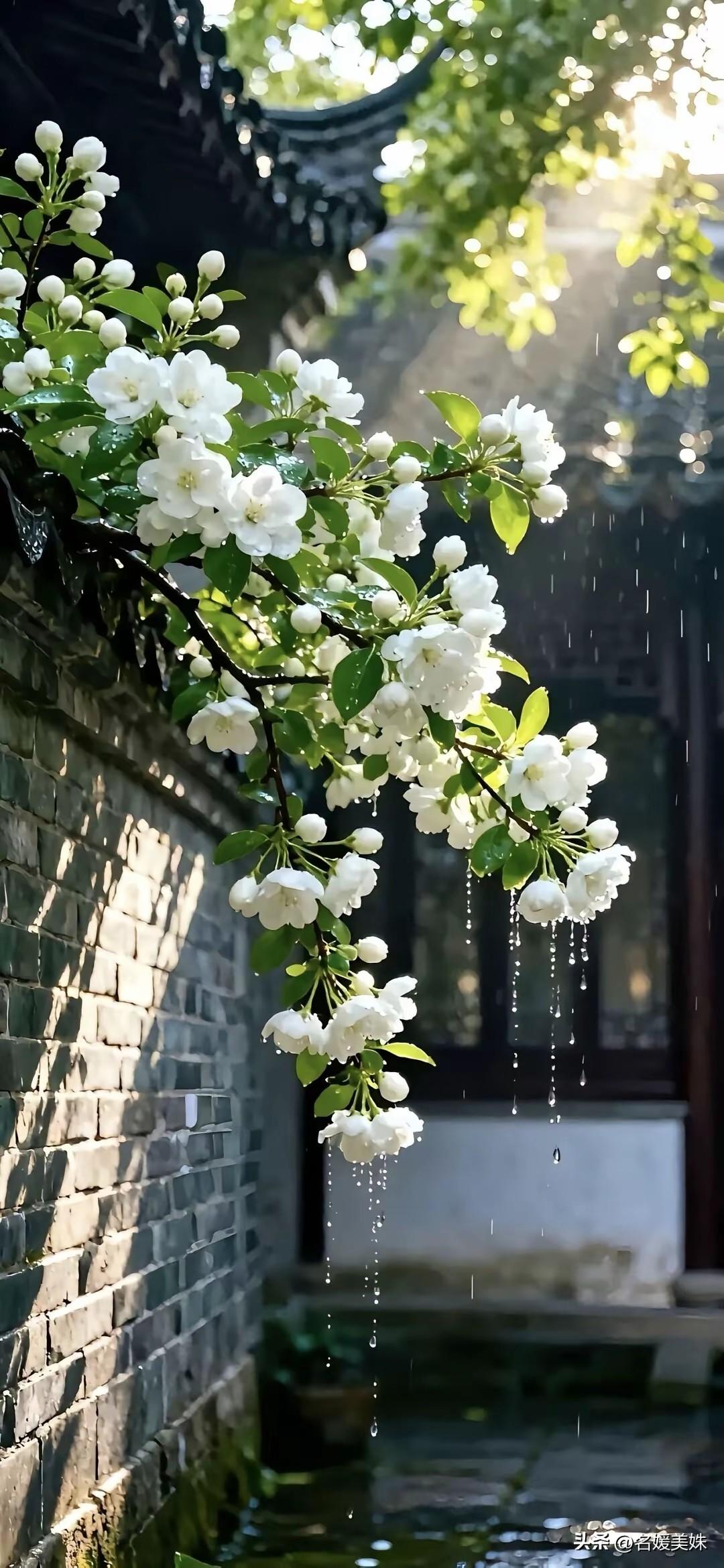 后来我当了父亲……