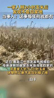 “担心的事情还是发生了！”黑龙江一大妈带着家人去地里扒玉米，不料，大叔干了2个小