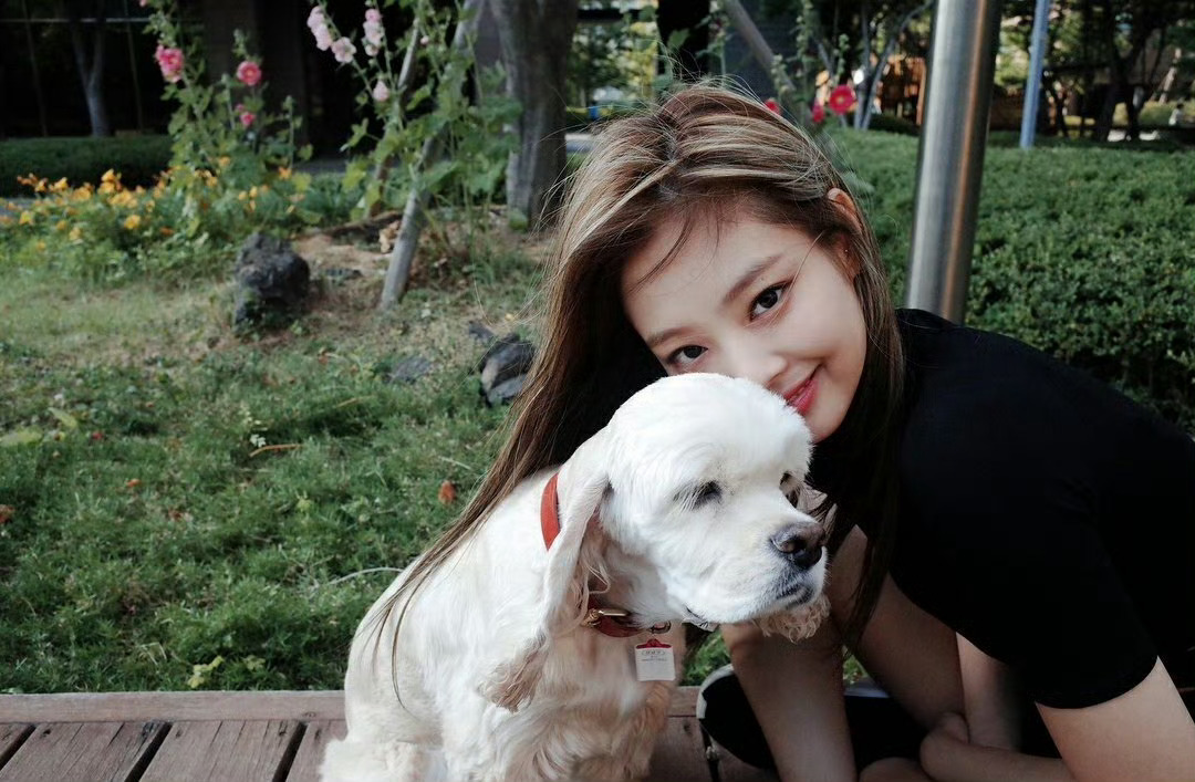 是否能像一棵树一样坚毅又盎然Jennie-金珍妮  专栏 · 我看到的金珍妮