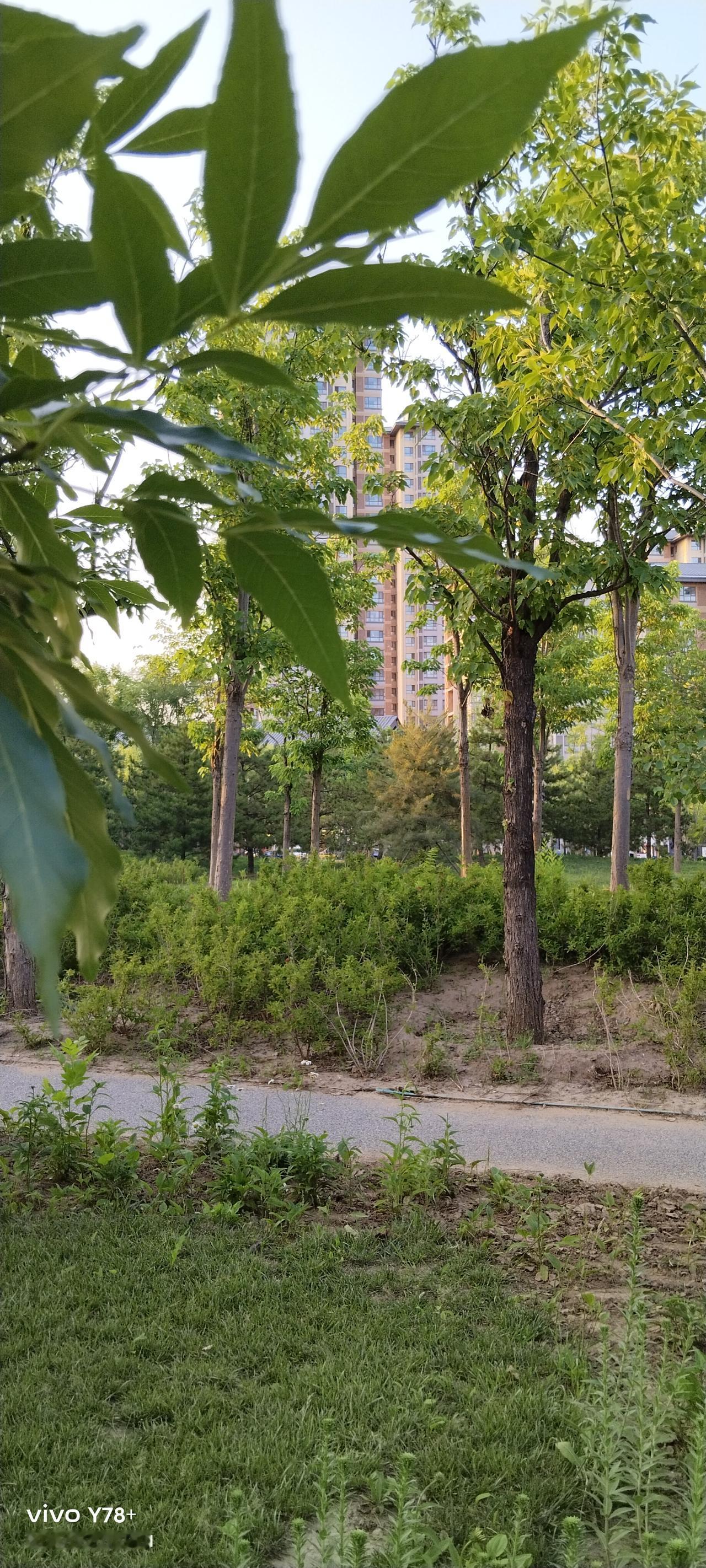 最近，国台办新闻发言人朱风莲表示，统一台湾，不会以台湾人民的意志为转移。
这句话