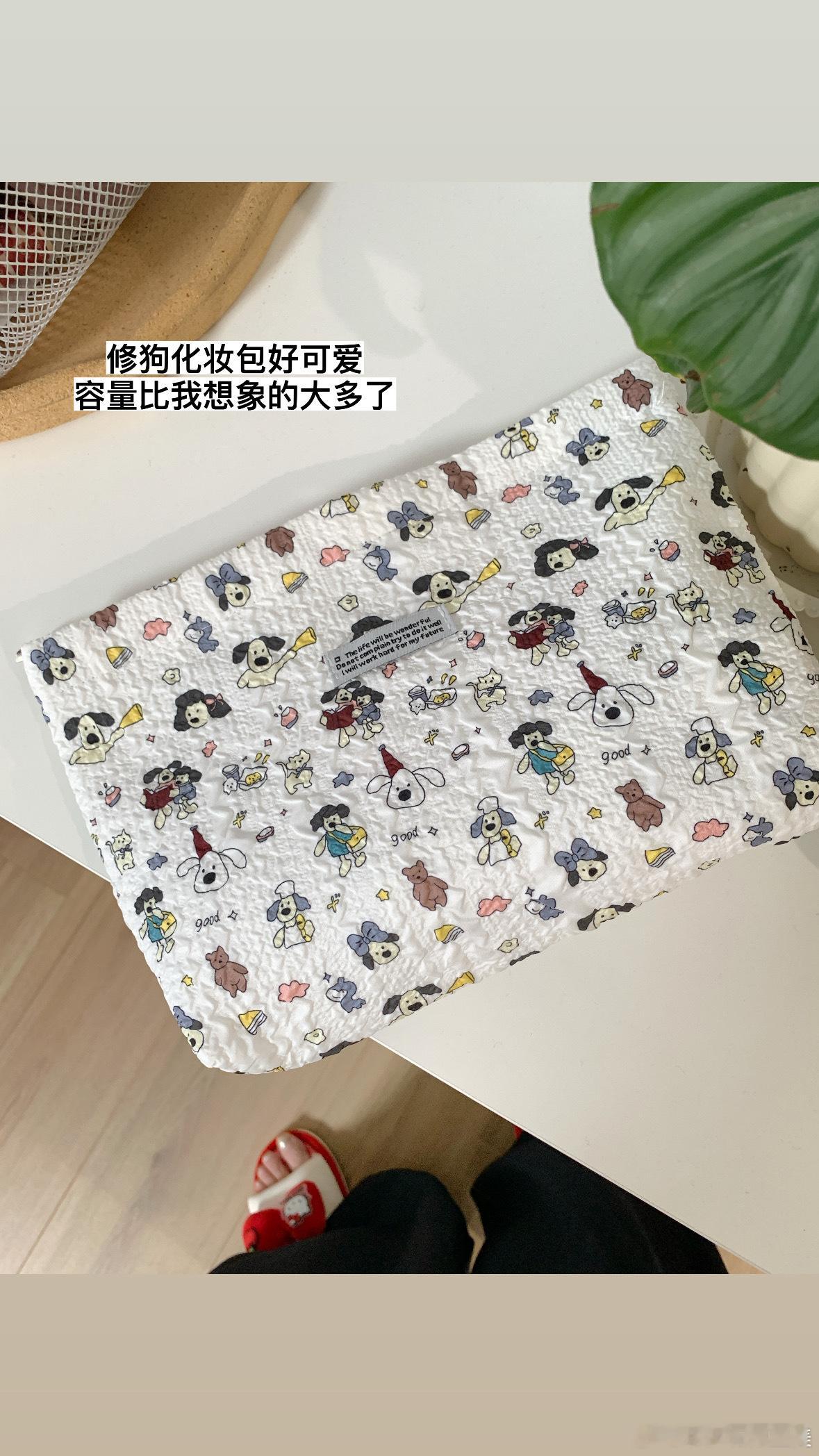 小日常在此✉️请查收 ​​​