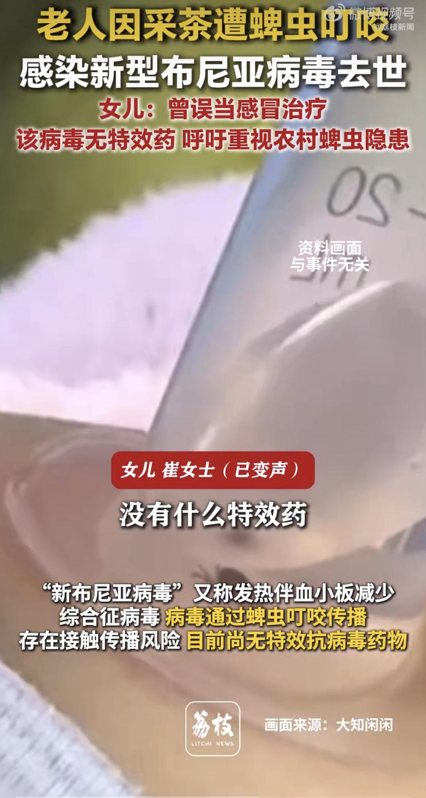 太痛心!老人采茶被蜱虫咬，最后竟没救回来
安徽安庆一位阿姨，平时在家采茶，不知道