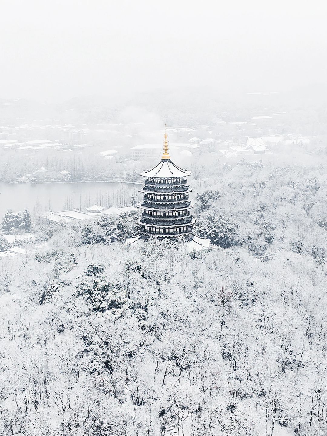 杭州下雪了❗一定要来西湖看雪啊❄️
