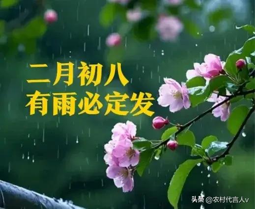 “二月初八，有雨必定发”，恰逢佛陀出家日，老话说：宜雨不宜晴。
 
明天是农历二