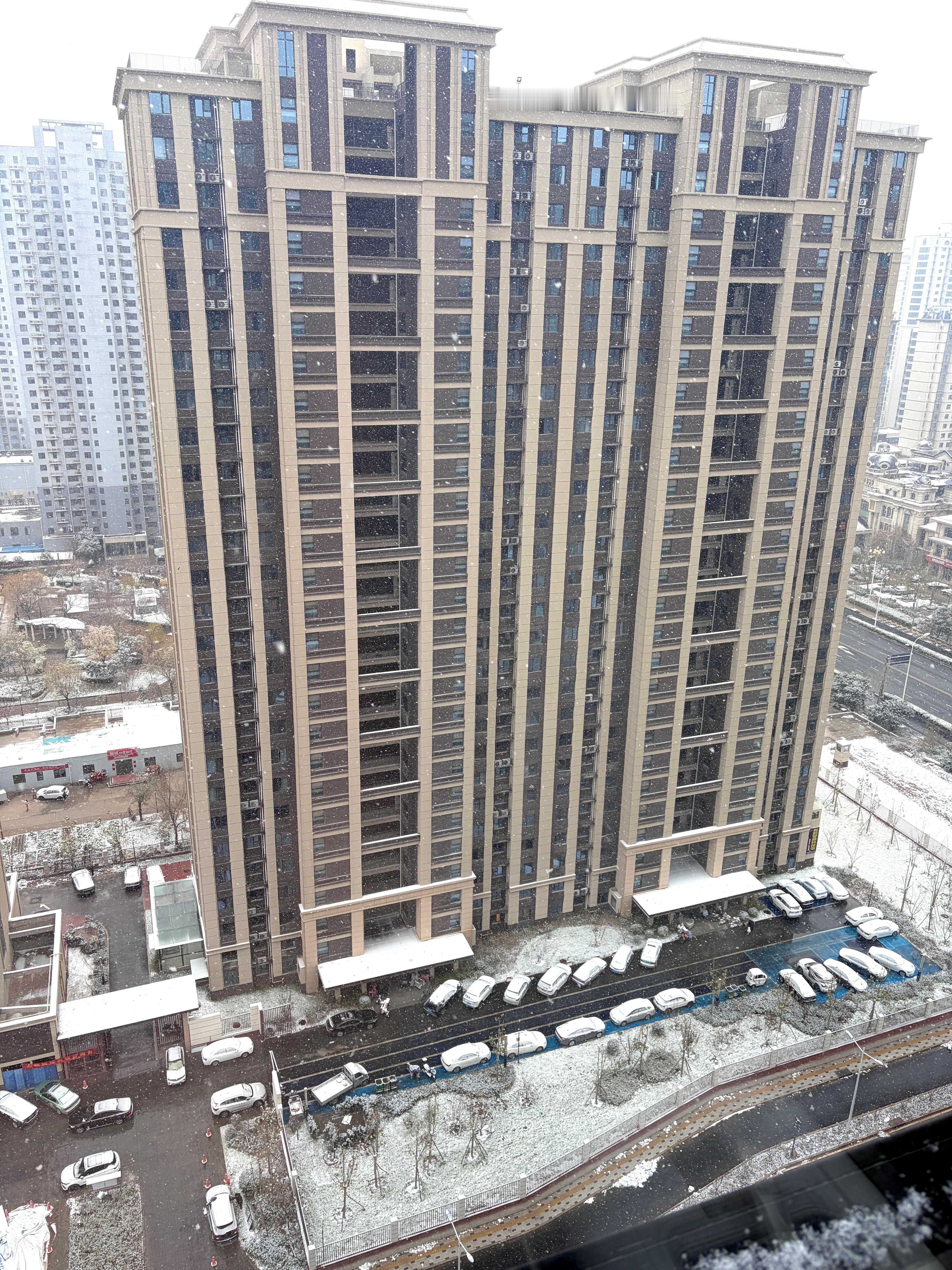 好大的雪呀❄️ 