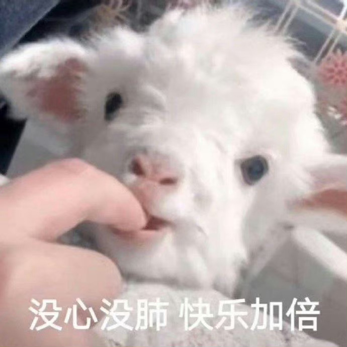 🐑：接段子/梗图/分享/互助/安利/闲聊投稿私信秒回不是机器人一整天都在哈哈哈