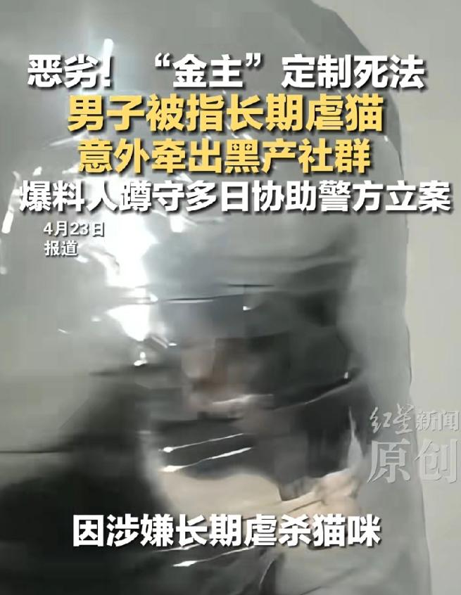 平顶山这个虐猫的恶魔终于被立案了。
 
这名男子长期以爱心领养猫咪为借口，骗取大