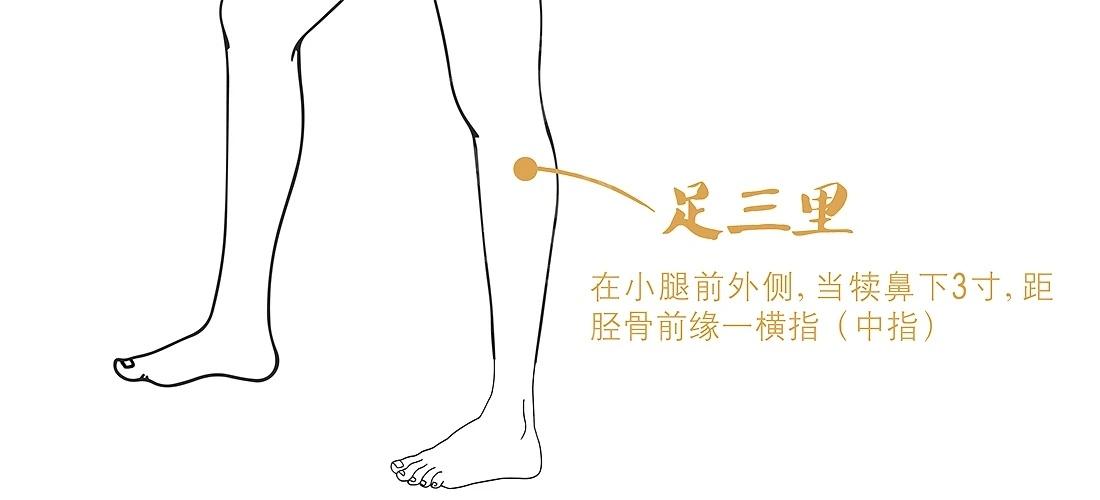 足三里穴生“脾阳”脾阳不足常表现为面色萎黄、头晕、唇淡、食少、不消化、腹泻、四肢