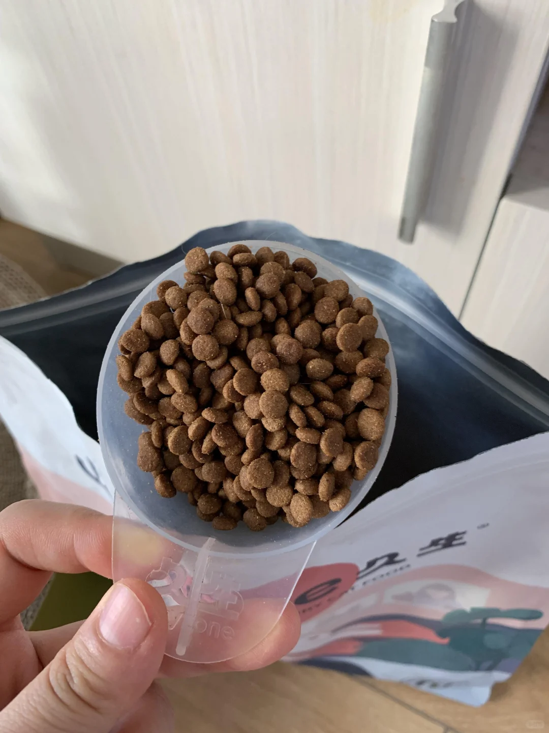 感谢久生减肥训练营！我家波比减肥成功啦！