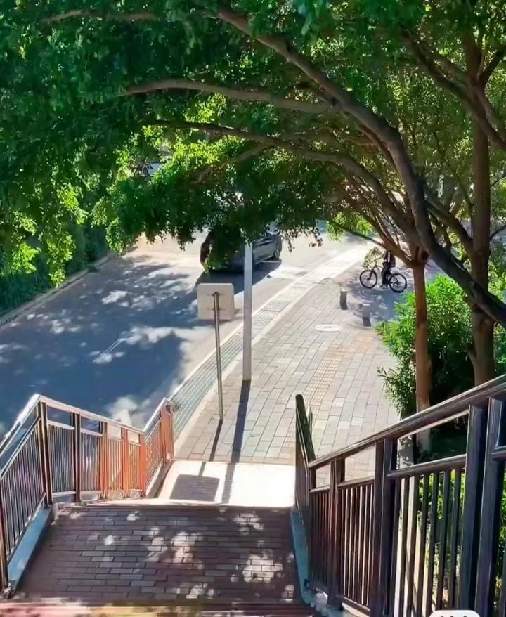 阳光穿过树叶，青春漫过夏天🍃 