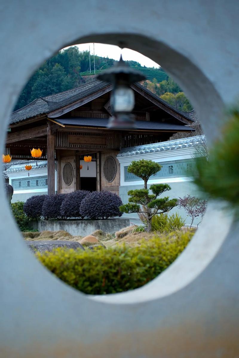 一位医生说：“如果你得了一场重病，从死神手里抢救回来，就会了悟一个道理：美色是毒