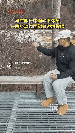 解释不清了！稻城亚丁被小动物“碰瓷”的快乐谁懂
 
四川稻城亚丁的山路上，男生累