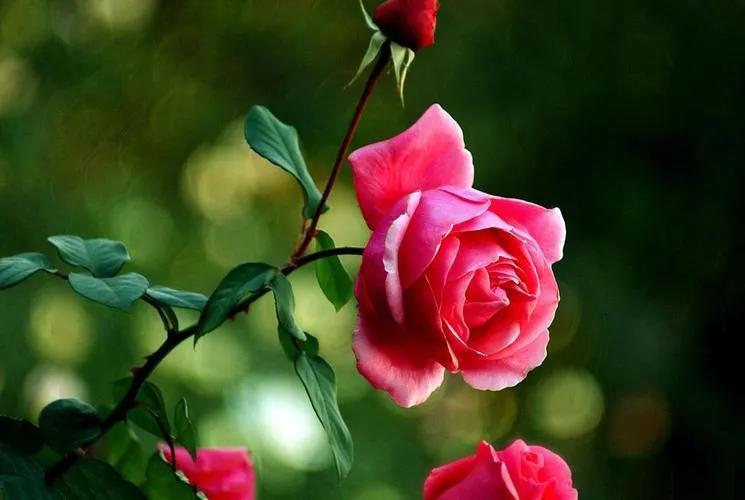 平时生活中和父母相处，一定要学会这 5 点，不然你就会后悔。
第一点，在父母面前