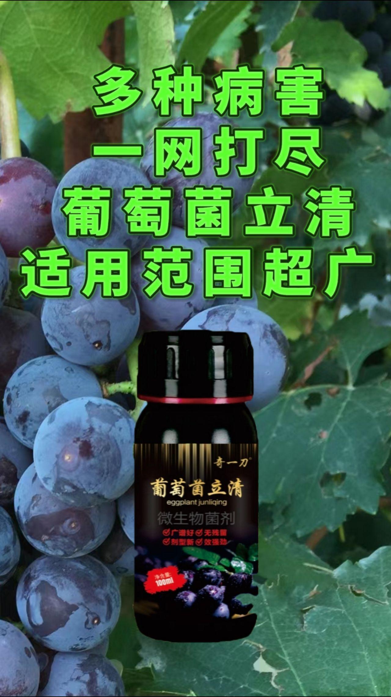 葡萄病害大全