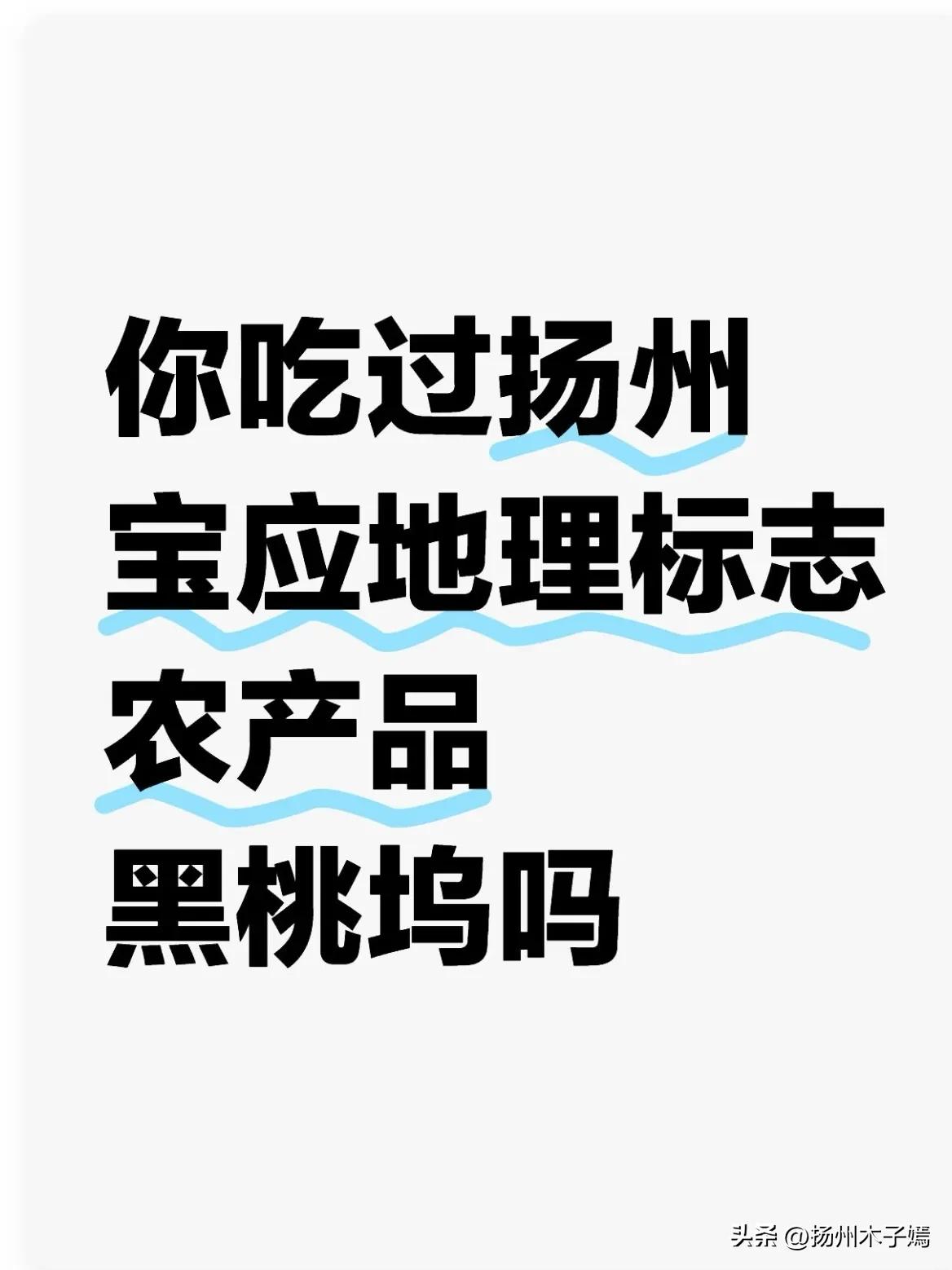 近日，扬州市宝应县国家地理标志农产品黑桃坞的上市热潮引发关注。刚上市的黑桃坞6元