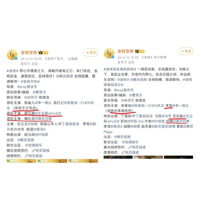 王弘毅领衔主演改特别出演王弘毅金枝由领衔主演变为特别主演了 