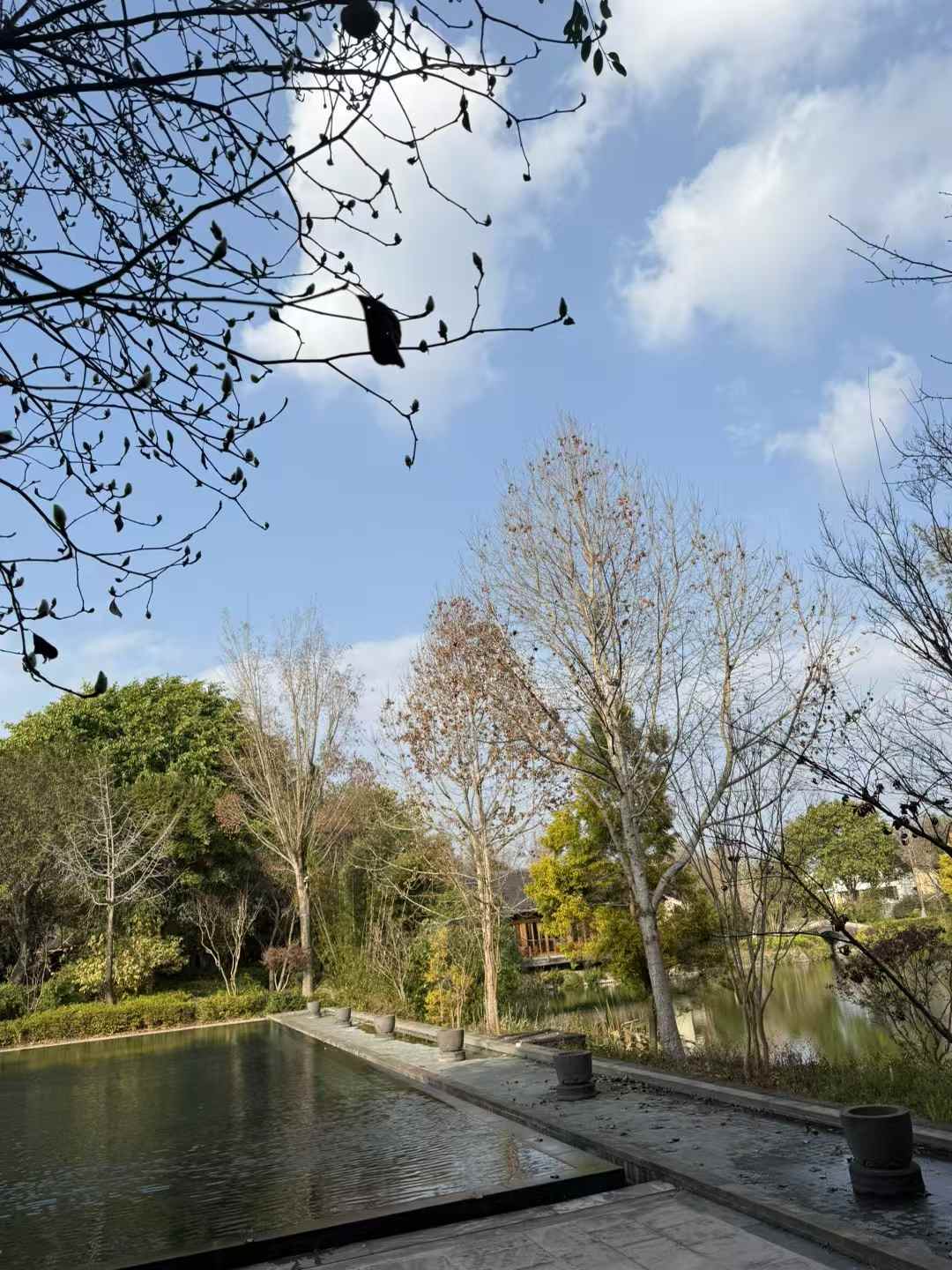 🆕新de一年 蒸蒸日上◦⚬° 