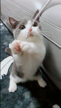 吃这个嘴里麻麻的，爽！