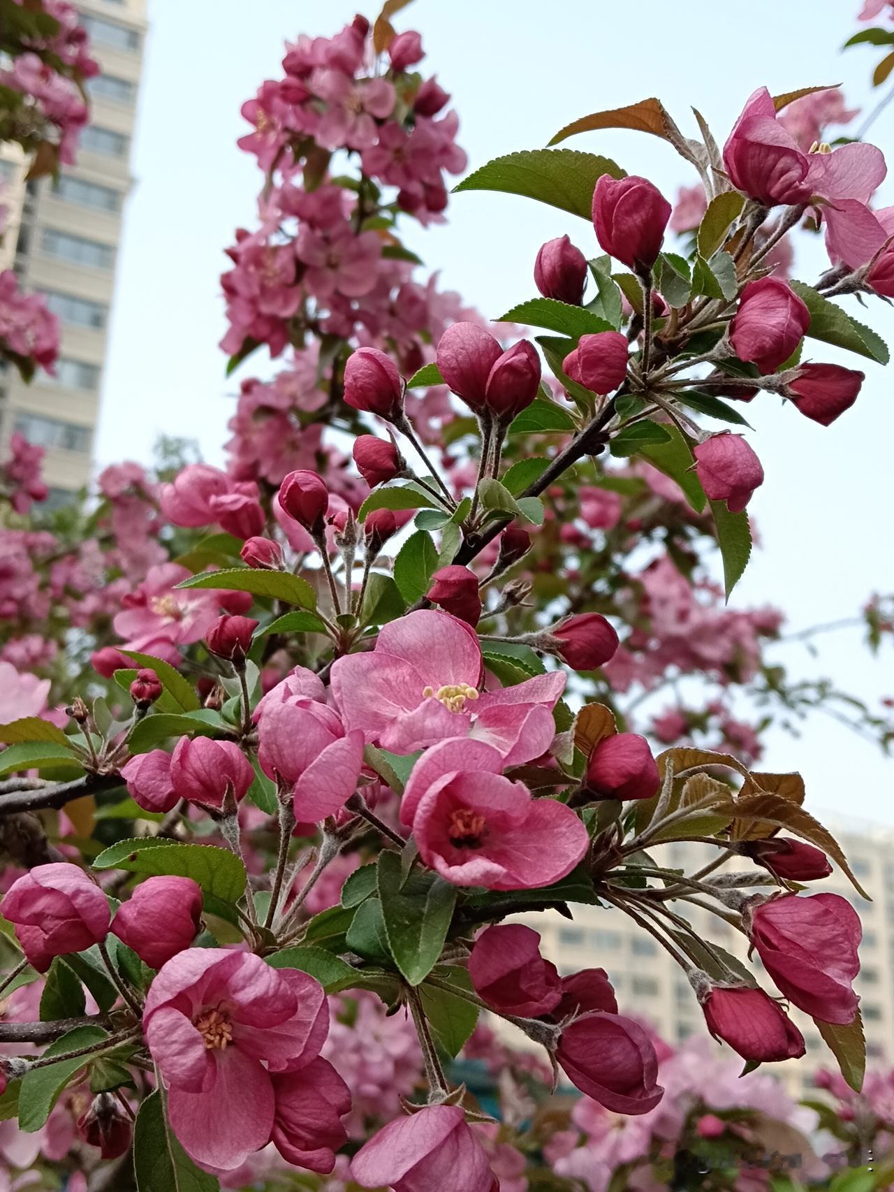 人到老年，有九件事尽量别做：
一是别频繁染发、烫发。这不仅损伤头发，还会伤害皮肤