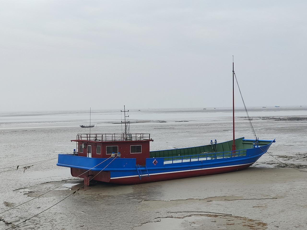 雨中，黄海之滨七人行，习习春风，满目花红竹绿，高耸入云的百万株水杉，空气都是香的