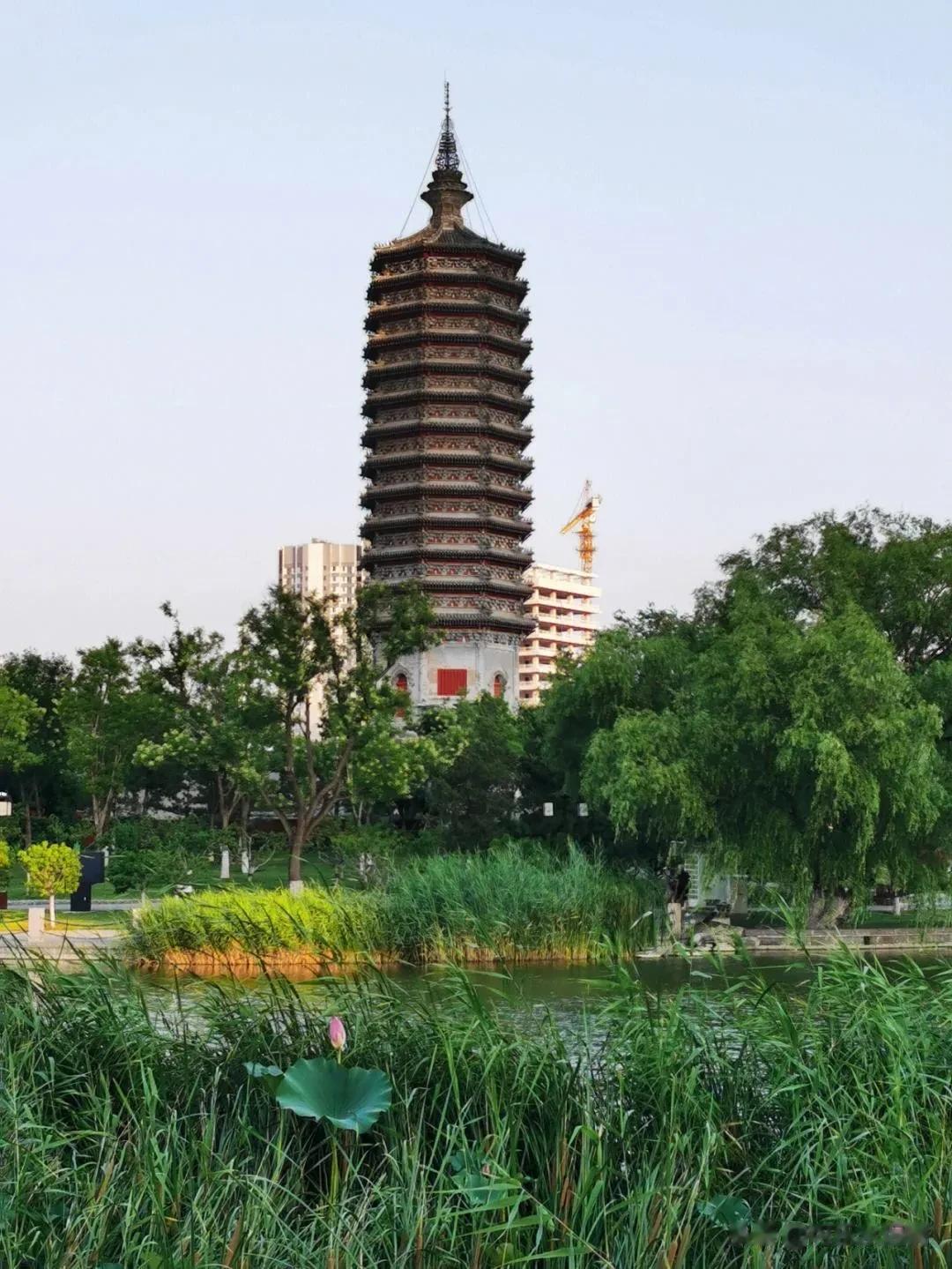 #秋日生活打卡季#
为什么喜欢秋天，因为秋天不足够温暖，不足够炎热，不足够寒冷，