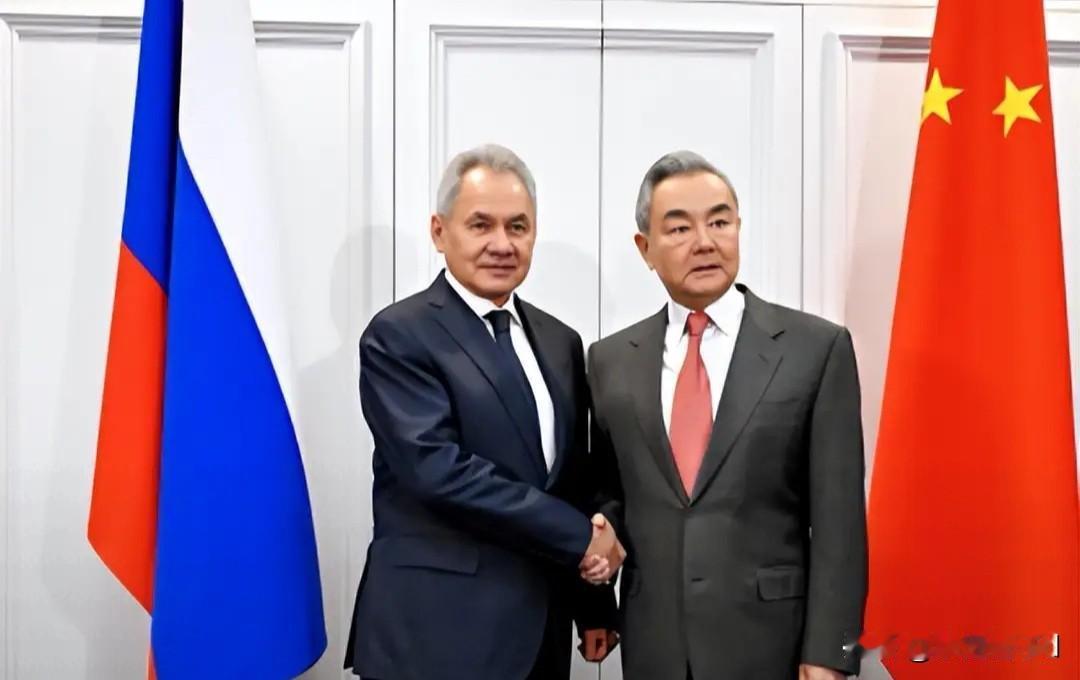 中俄战略安全磋商刚结束，绍伊古一句"斩断军国主义九头蛇"直接把日本吓一激灵。  