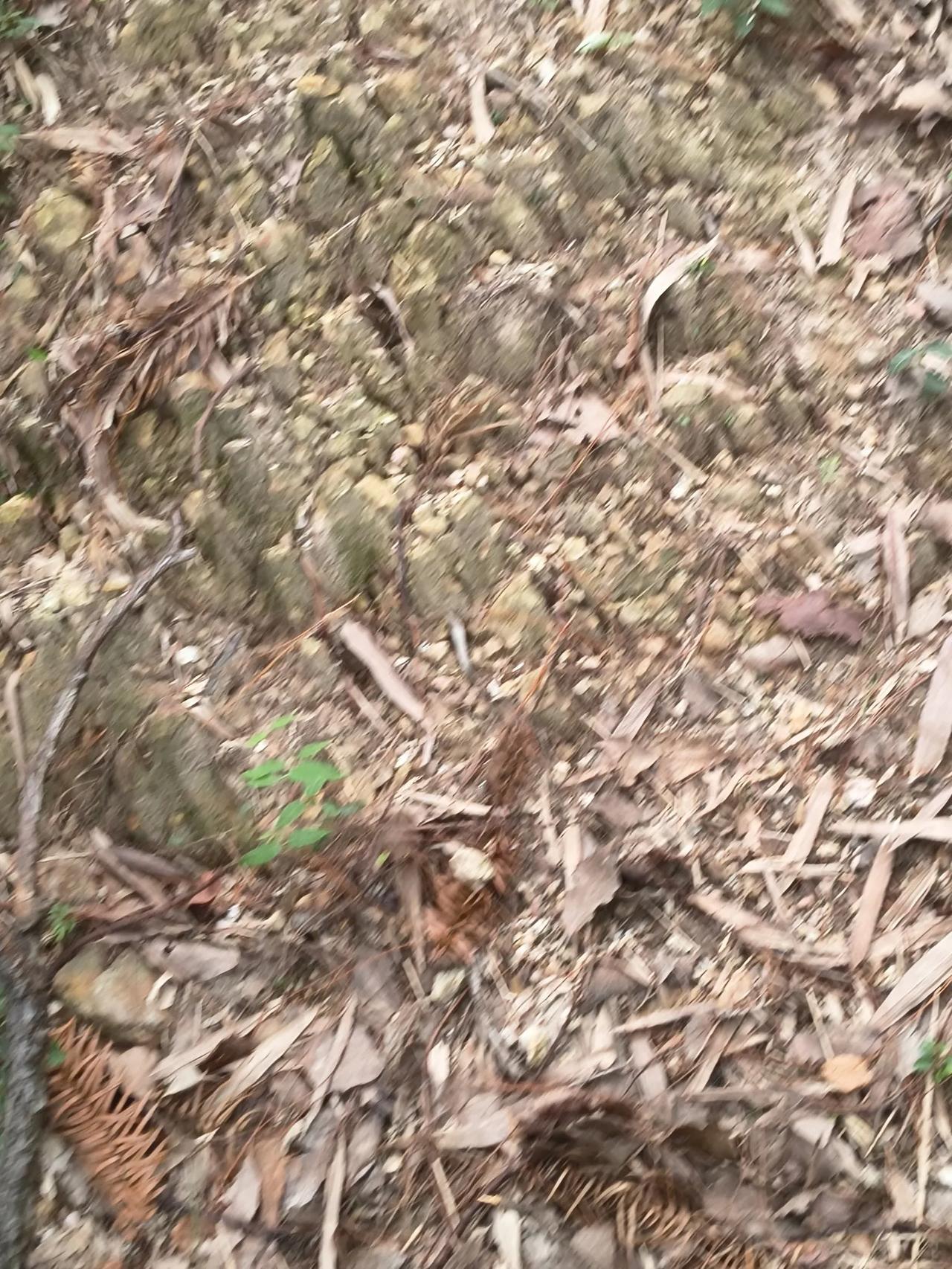 驾校的有个教练，他会跳大神。
开始这种精神安慰的花样，没有几个人会信。有个学员，