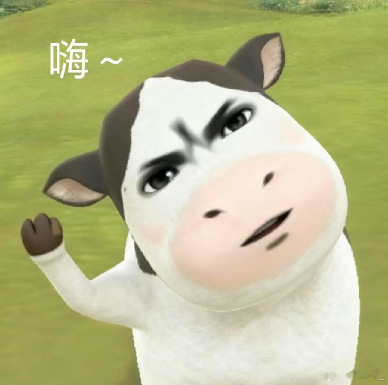 我的双更终于来了