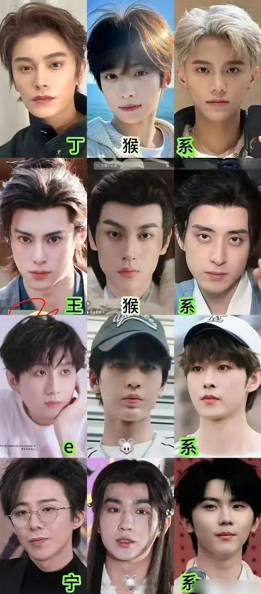 内娱男星分类来了，大家感觉相似度高嘛[笑cry] ​​​
