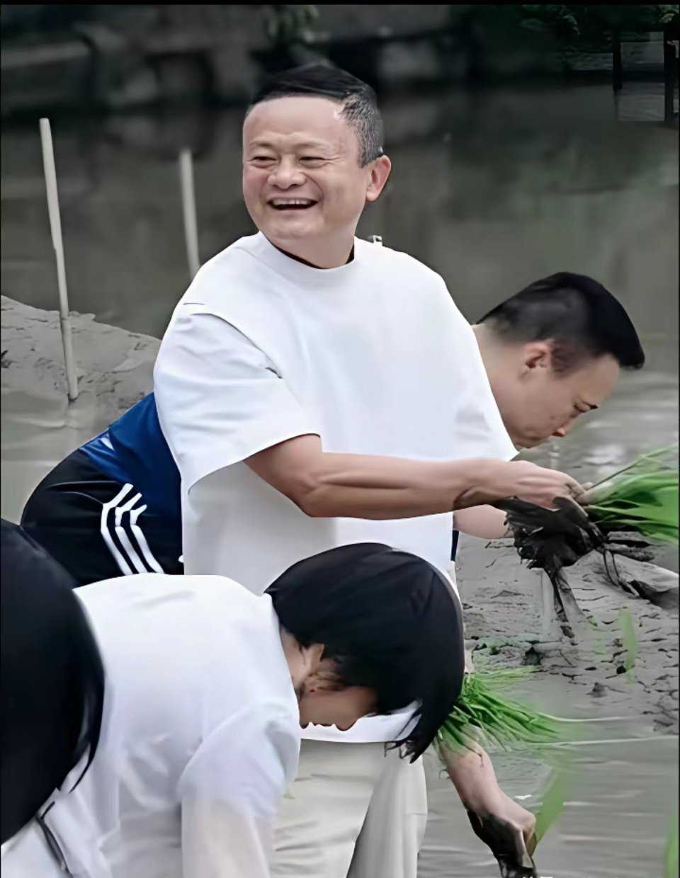 马云觉得挺有意思，就下去玩了。后面跟着的那些拍马屁的高管，也急忙跟着下去了。其他