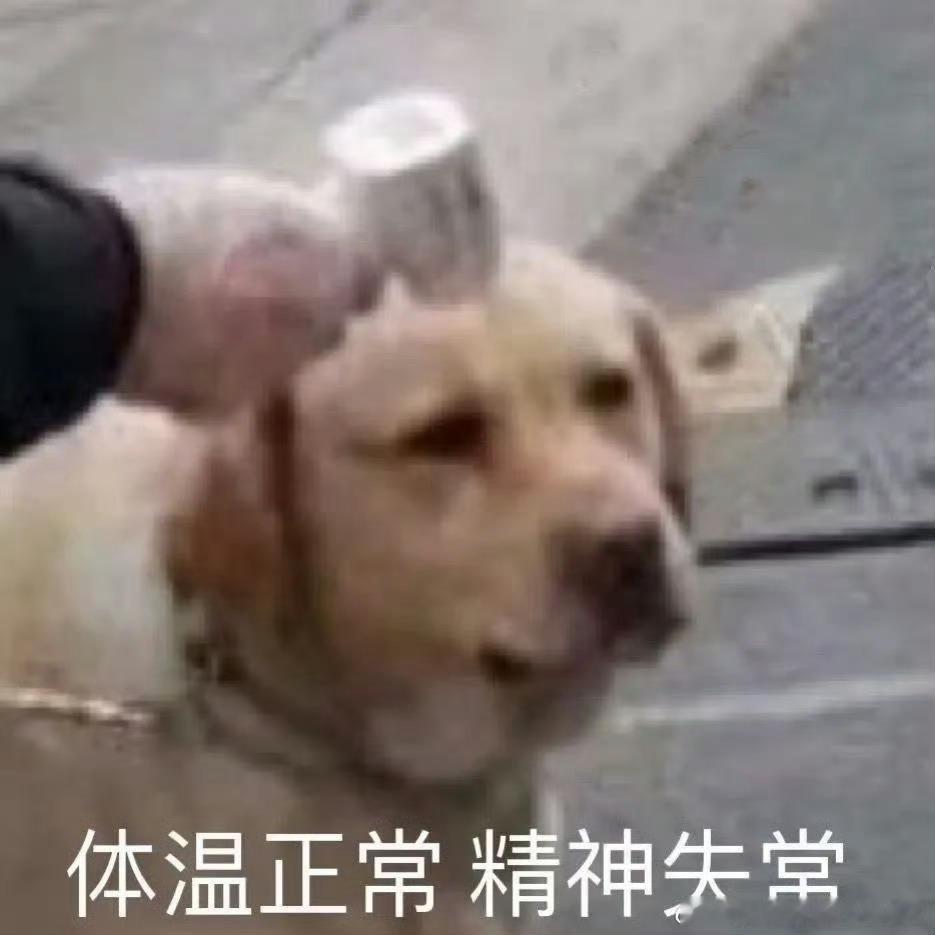 有感记同行之间恶意压价其实对整个行业非常的不友好。看似既得利益了…实则会慢慢拖着